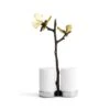Michael Aram Butterfly Ginkgo Salt & Pepper Shaker -Selected Home Goods Store 175883 4