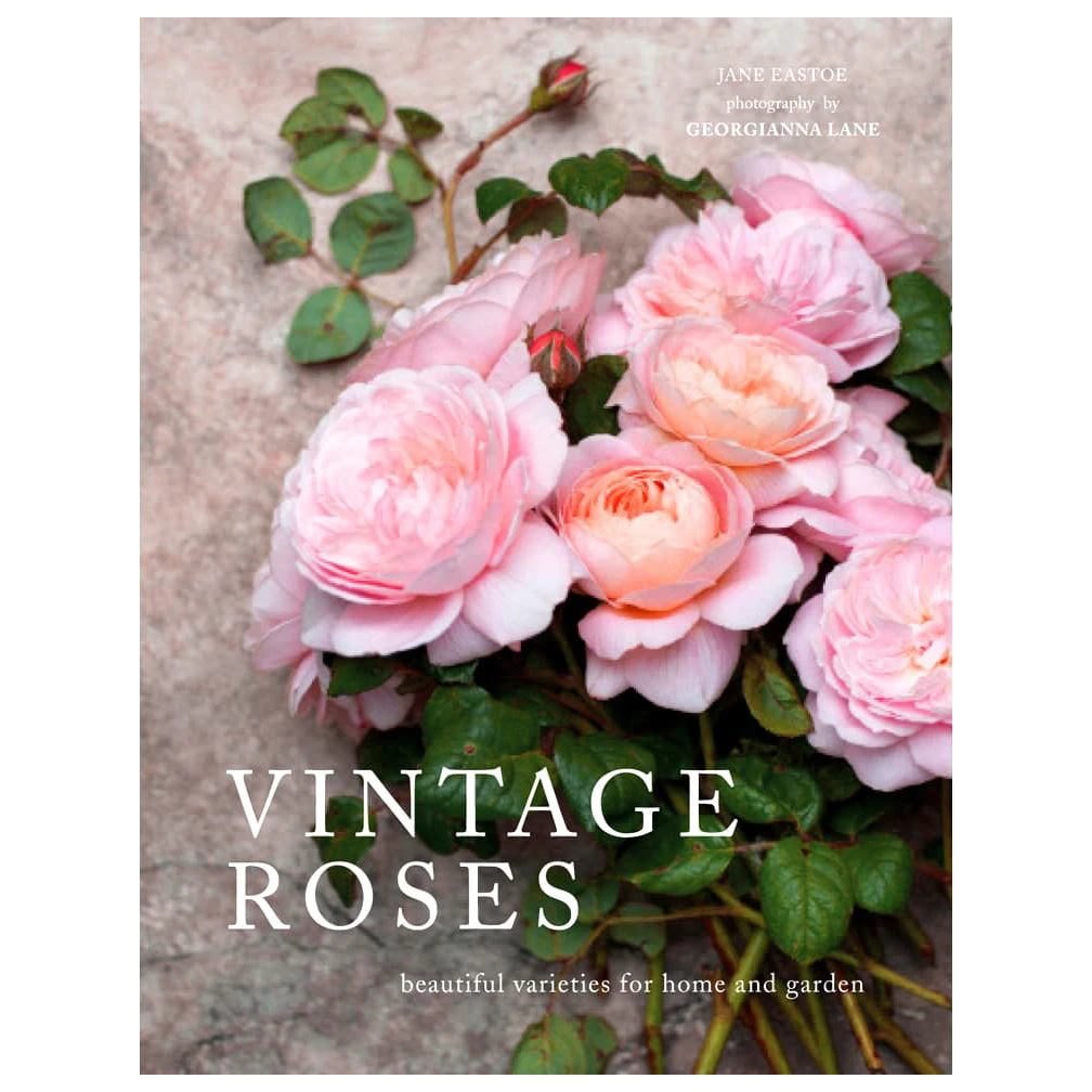 Vintage Roses 2 Vintage Roses