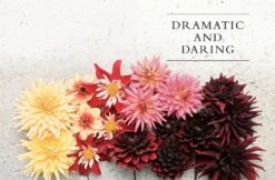Dahlias -Selected Home Goods Store 9781423648321 04