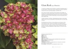 Hydrangeas -Selected Home Goods Store 9781423654025 03