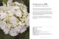 Hydrangeas -Selected Home Goods Store 9781423654025 05