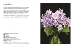 Hydrangeas -Selected Home Goods Store 9781423654025 06