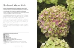 Hydrangeas -Selected Home Goods Store 9781423654025 07