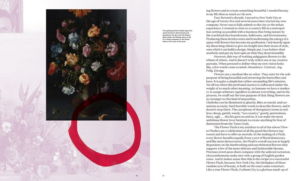 Flower Flash 5 Flower Flash - Image 3