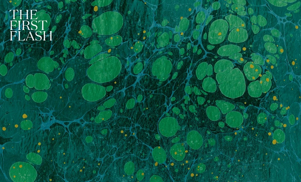 Flower Flash 6 Flower Flash - Image 4