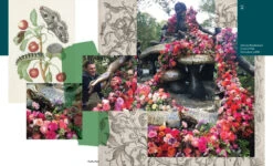 Flower Flash 19 Flower Flash -Selected Home Goods Store 9781580935852 04