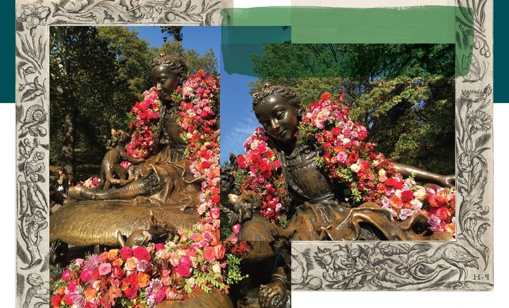 Flower Flash 8 Flower Flash - Image 6