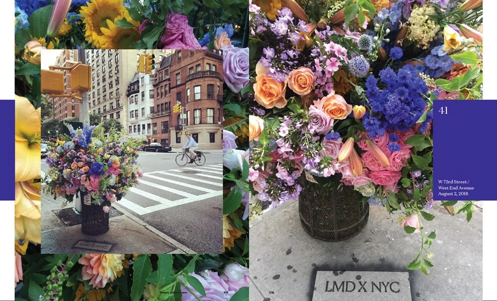 Flower Flash 9 Flower Flash - Image 7