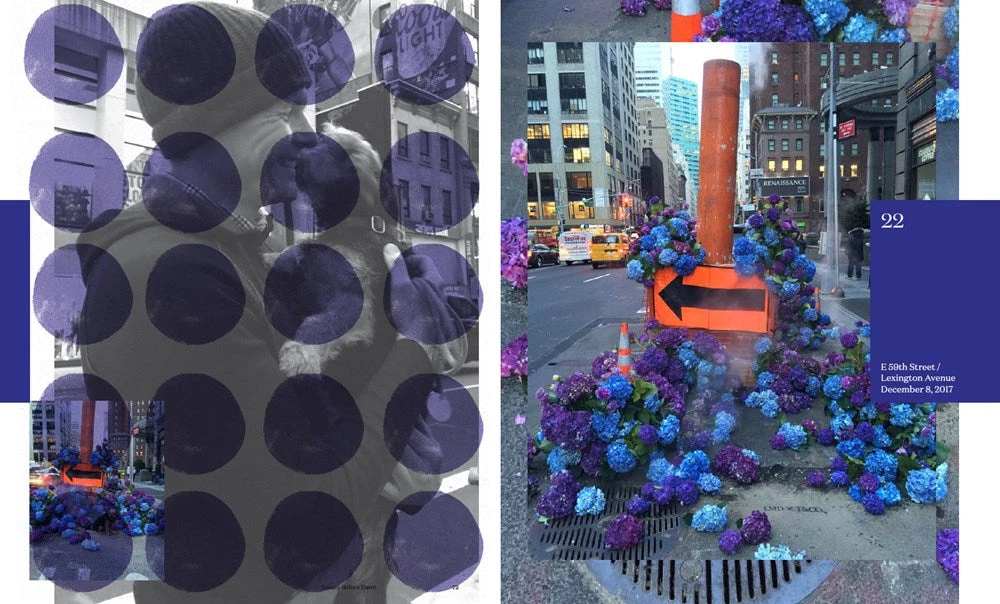 Flower Flash 11 Flower Flash - Image 9