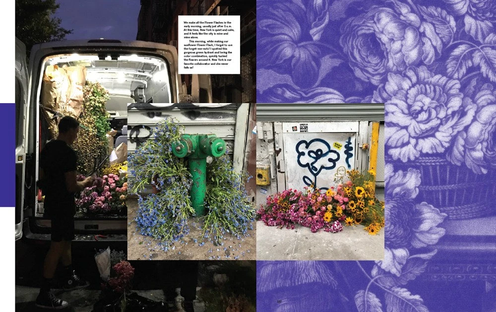 Flower Flash 12 Flower Flash - Image 10