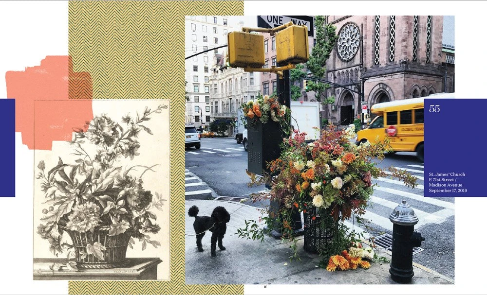 Flower Flash 13 Flower Flash - Image 11