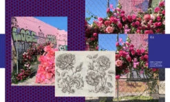 Flower Flash 27 Flower Flash -Selected Home Goods Store 9781580935852 12