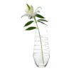 Juliska Amalia Clear Vase 16"