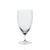 Caskata Quinn Clear Water Glass -Selected Home Goods Store QuinnOptic Crystal EVDY GL OEVDY 000