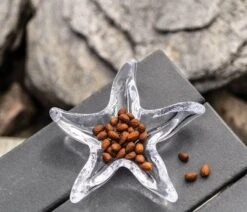 Selected Home Goods Store -Selected Home Goods Store alt lifestyle starfish dish 10.7.19 2696 edit