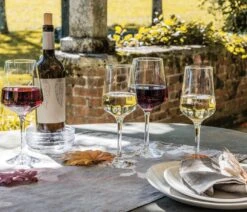 Simon Pearce Vintner White Wine -Selected Home Goods Store alt lifestyle vintner wine glasses 9.21.21 483 edit 1