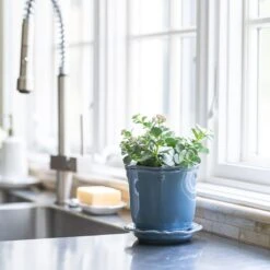 Juliska Berry & Thread Chambray Planter & Saucer 5.25" 10 Juliska Berry & Thread Chambray Planter & Saucer 5.25" -Selected Home Goods Store ja136 47 alt