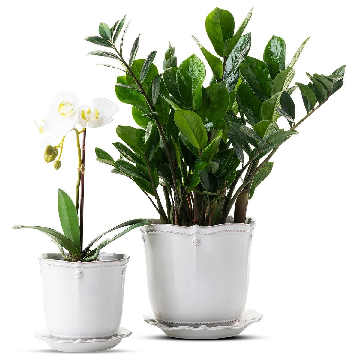 Juliska Berry & Thread Whitewash Planter 7" 3 Juliska Berry & Thread Whitewash Planter 7"